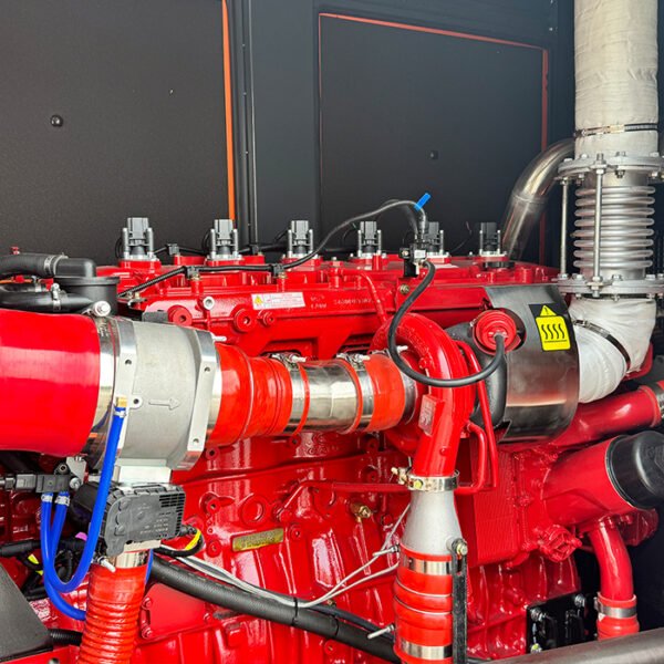 Natural gas engine